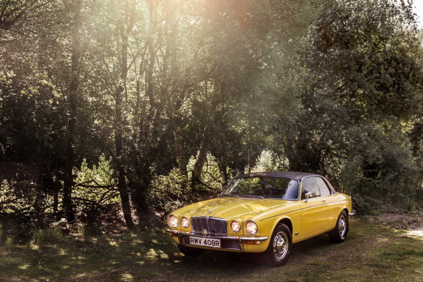Jaguar XJC jaune décapotable en forêt