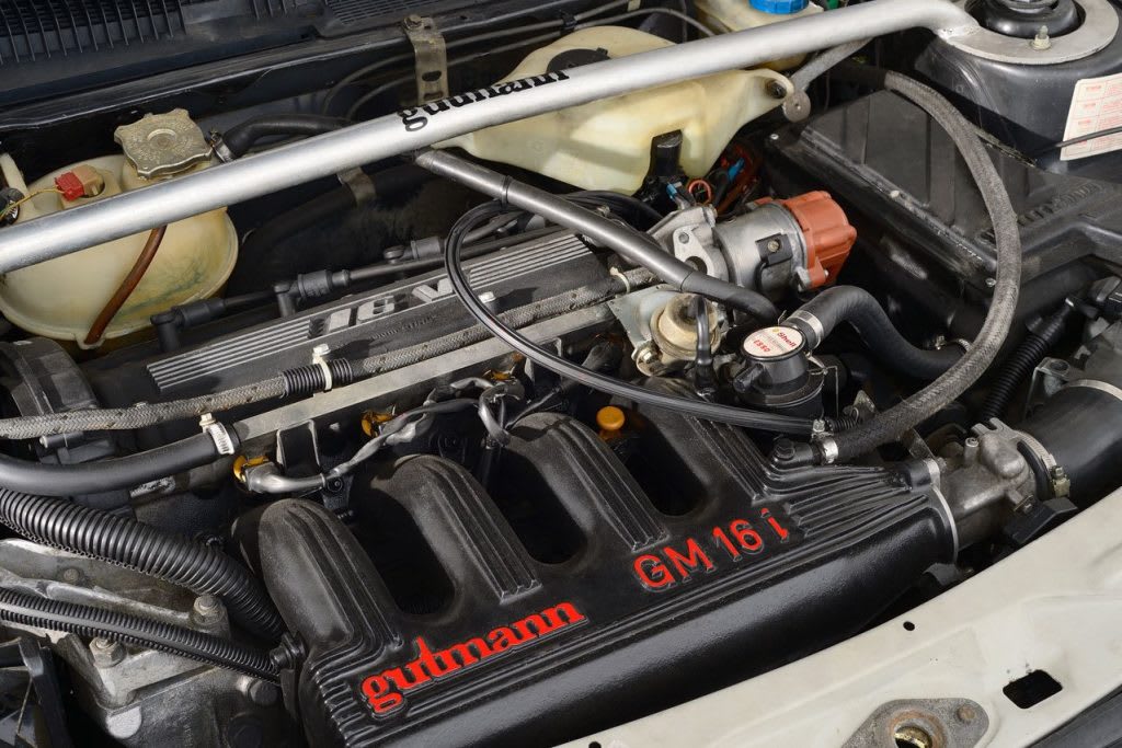 Gutmann 05