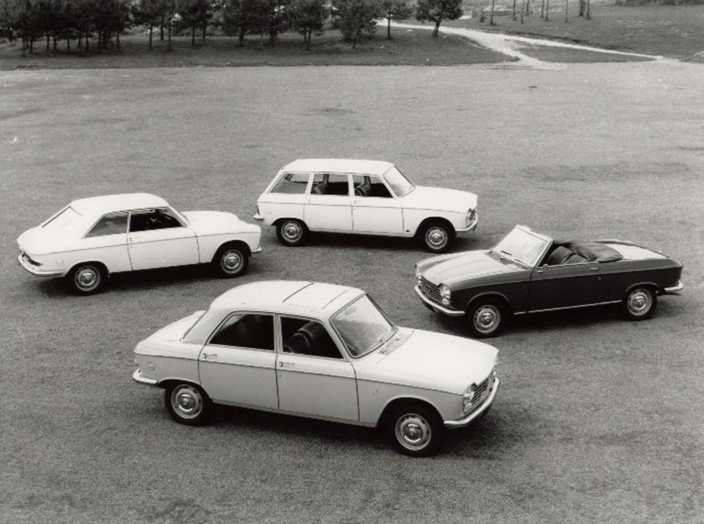 La Gamme Peugeot 204