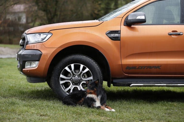 Le Ford Ranger n'était pas le seul au garde à vous ce jour là !