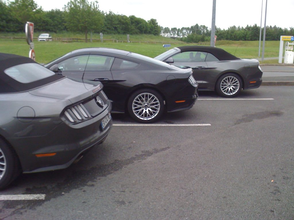 Rencontre impromptue avec une Fastback Ecoboost près d'Angers !