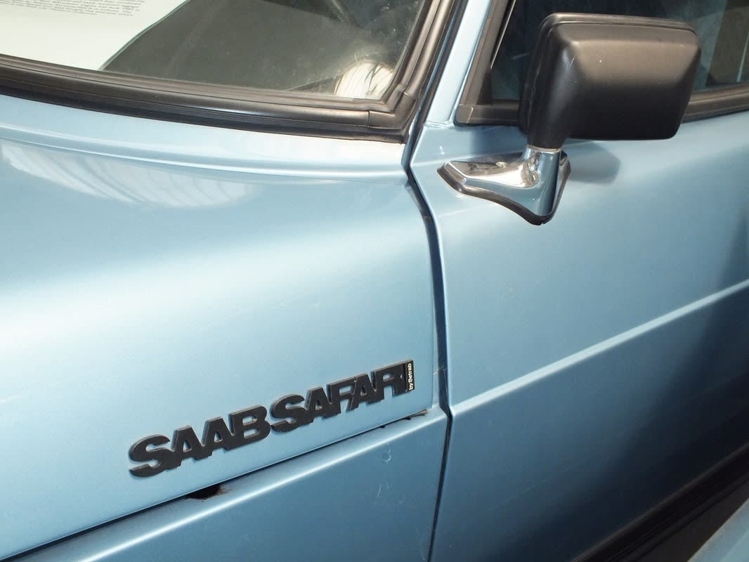 Safari 16