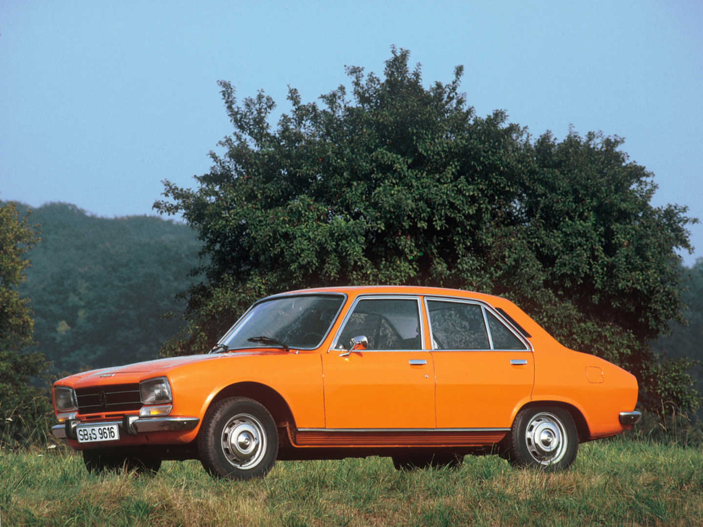 Peugeot 504 orange dans l'herbe