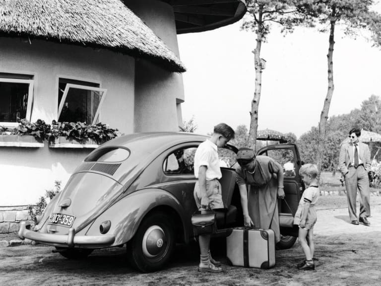 beetle-01