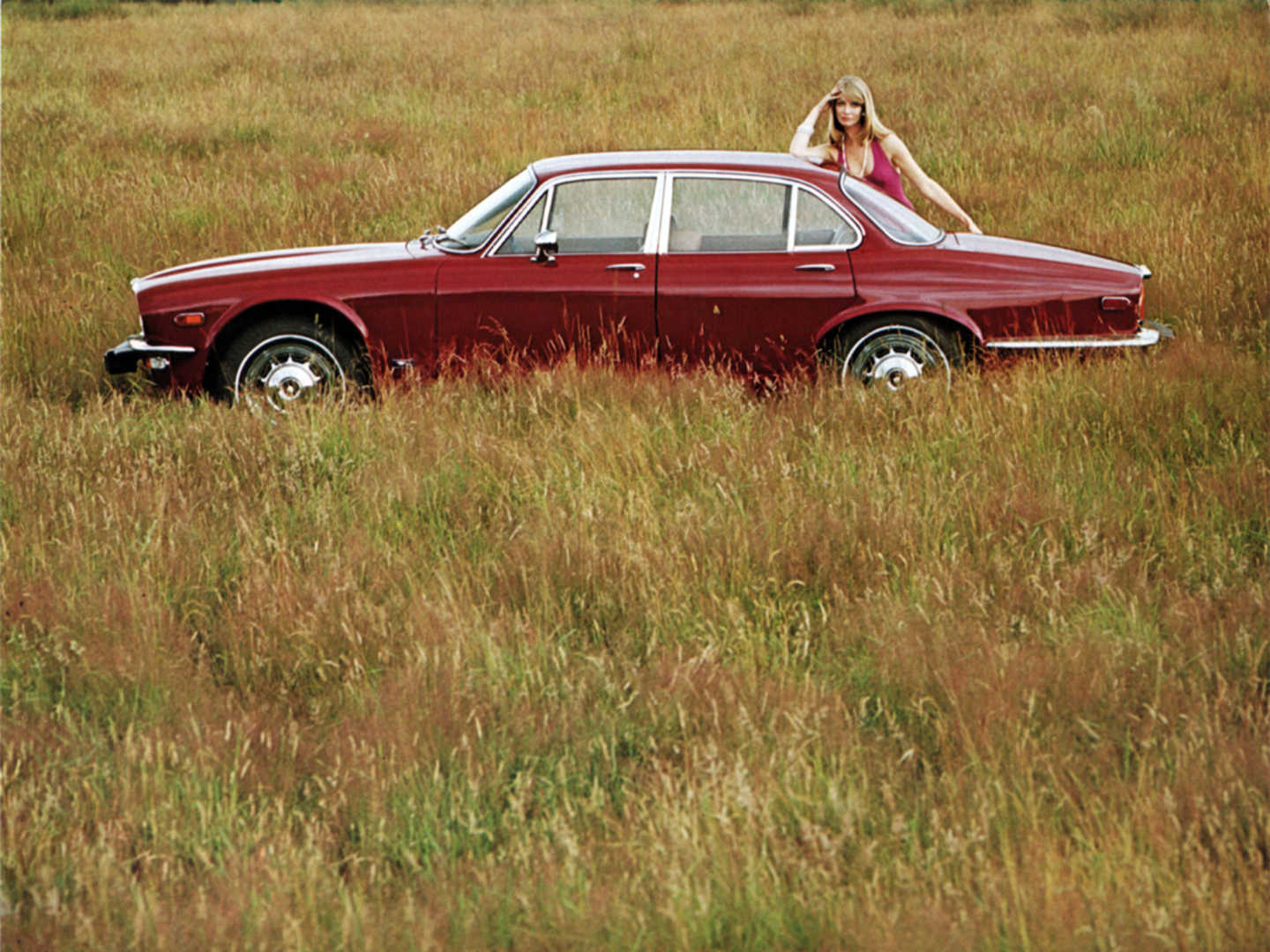 Jaguar XJ rouge de profil dans un champ
