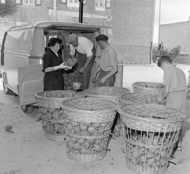 Renault Estafette servant d'utilitaires pour transporter toutes sortes de choses à l'époque