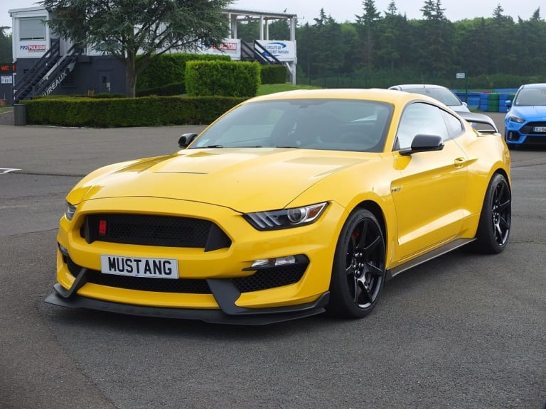 Ford/Shelby Mustang GT350R : que du muscle