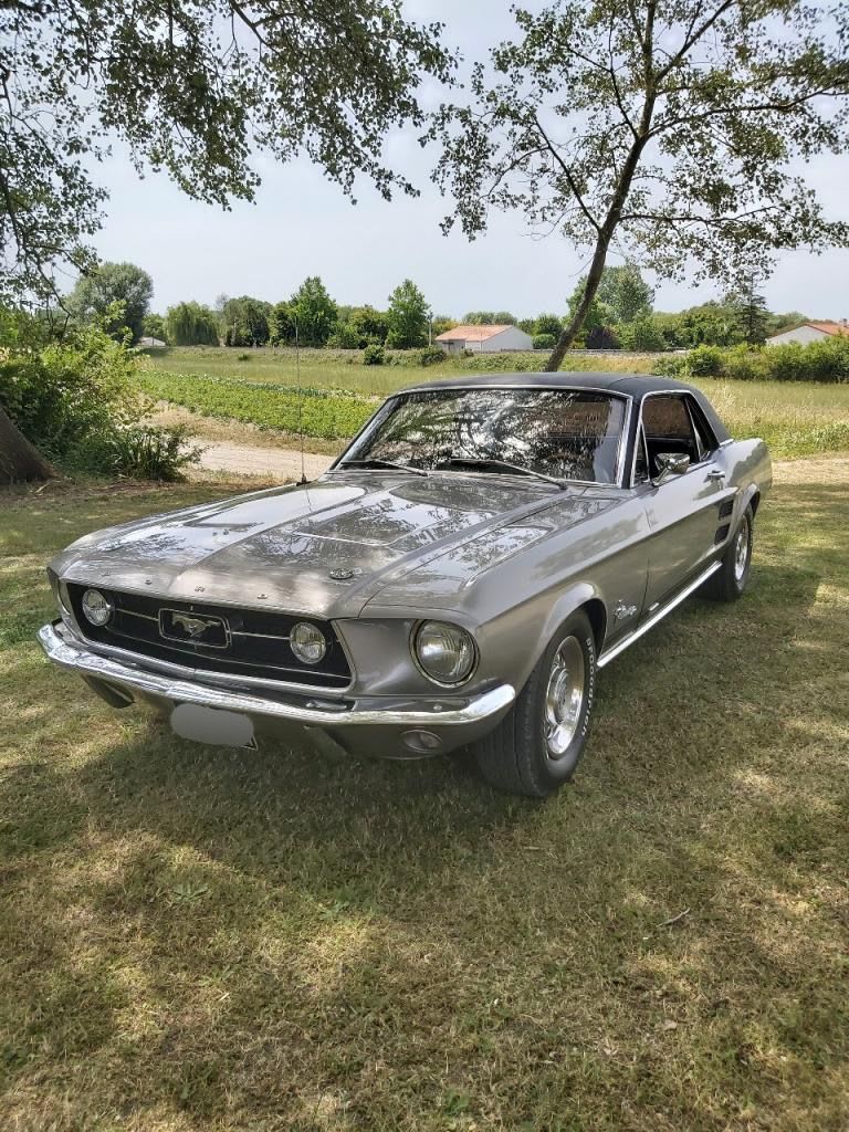 Ford Mustang 289Ci 1967 : la légende américaine en pleine renaissance