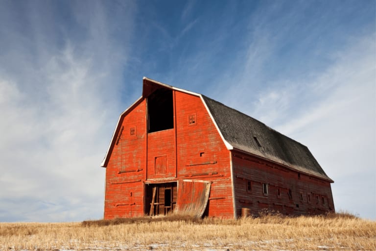 Une grange, 230 voitures : l’histoire folle d’une collection restée secrète