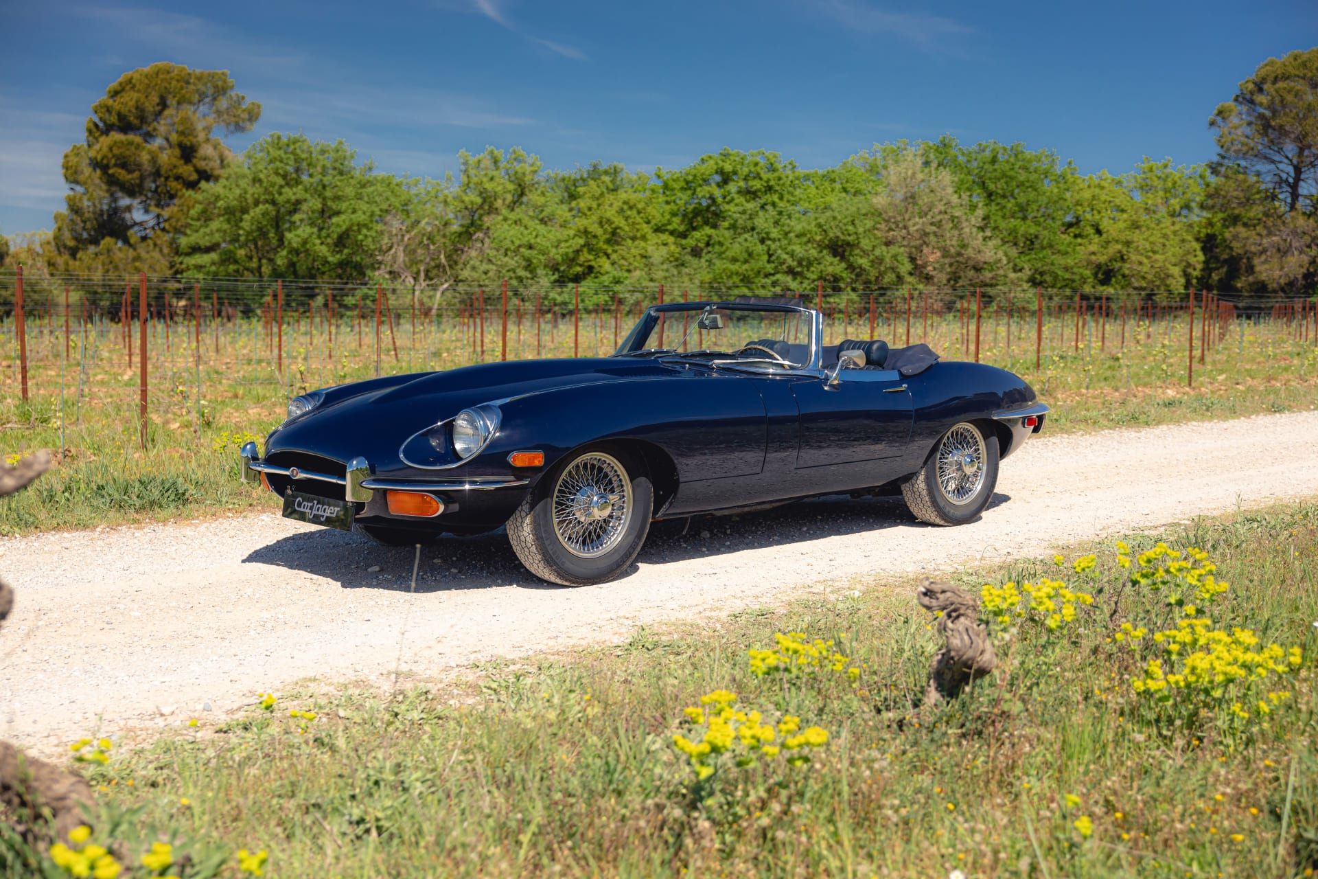 Photo Jaguar Type E Serie 2 4.2 Cabriolet 1969