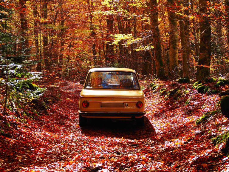 Point-Blur_Oct312024_182555.jpg
