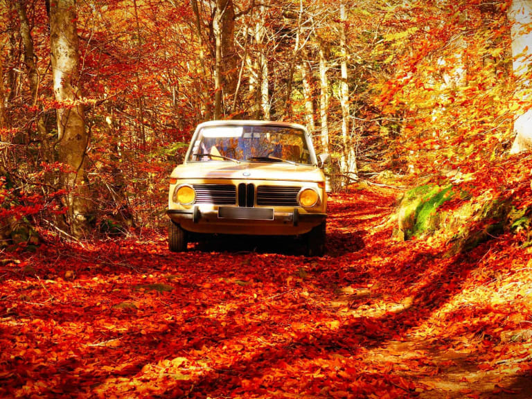 Point-Blur_Oct312024_185731.jpg