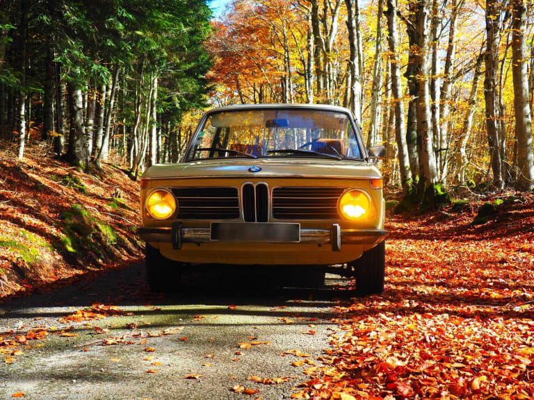 Point-Blur_Oct312024_185854.jpg