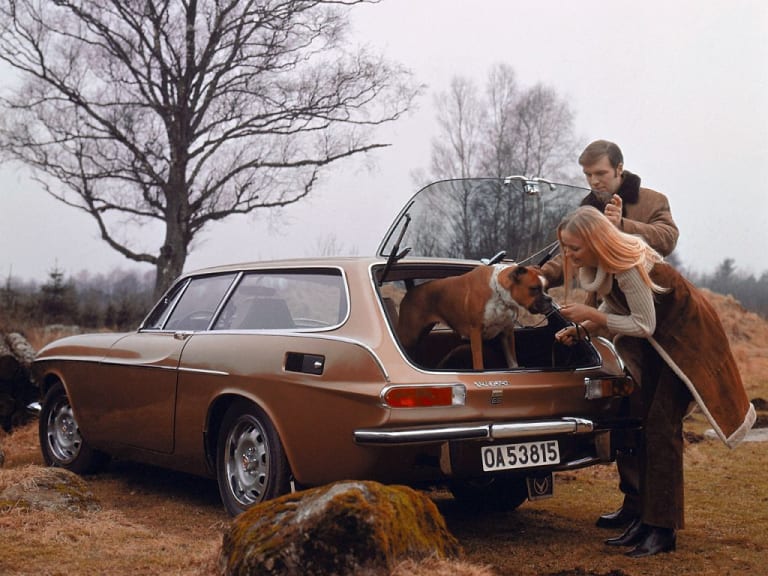 6 “shooting brake” pour partir à la chasse