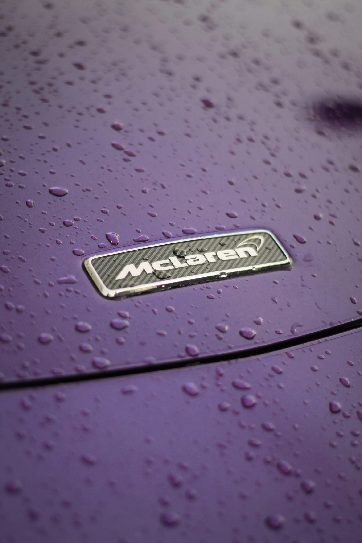 Sa McLaren a passé la moitié de l'année au garage, il raconte son quotidien de galères