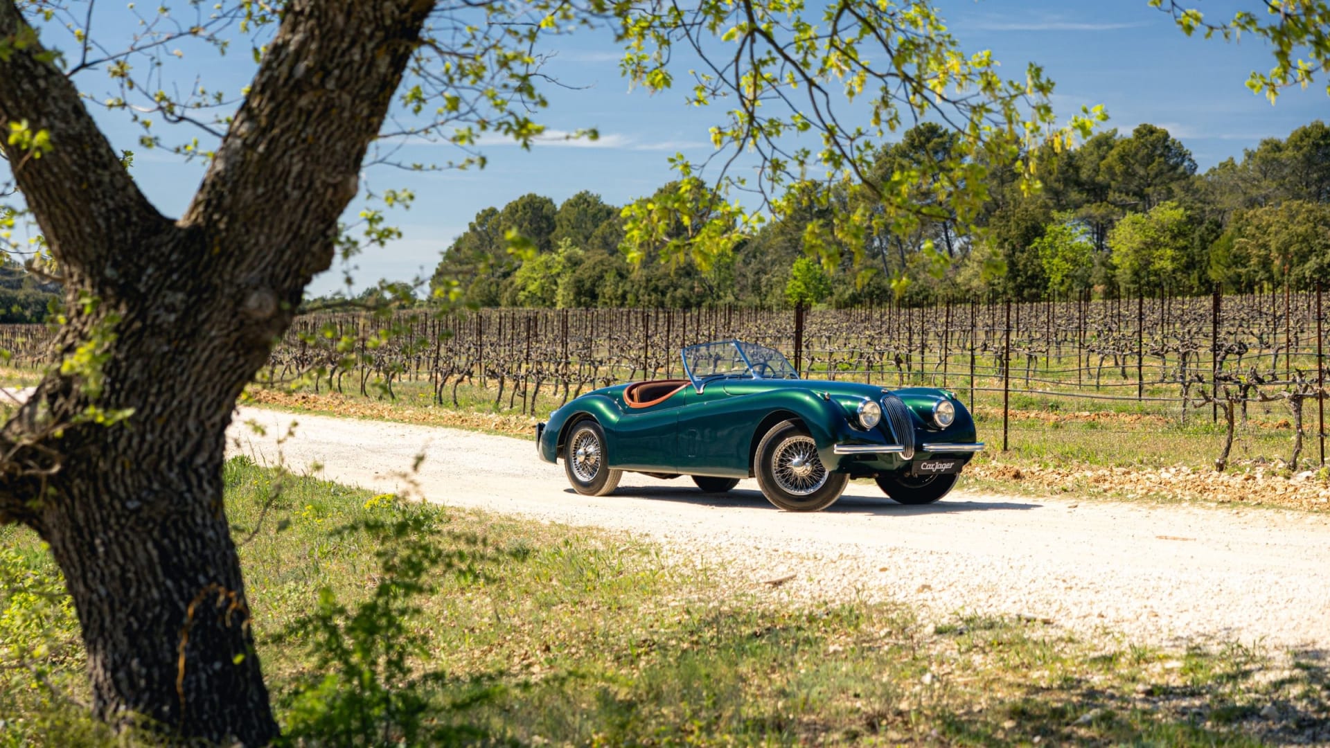 Estimation d'une Jaguar avec CarJager