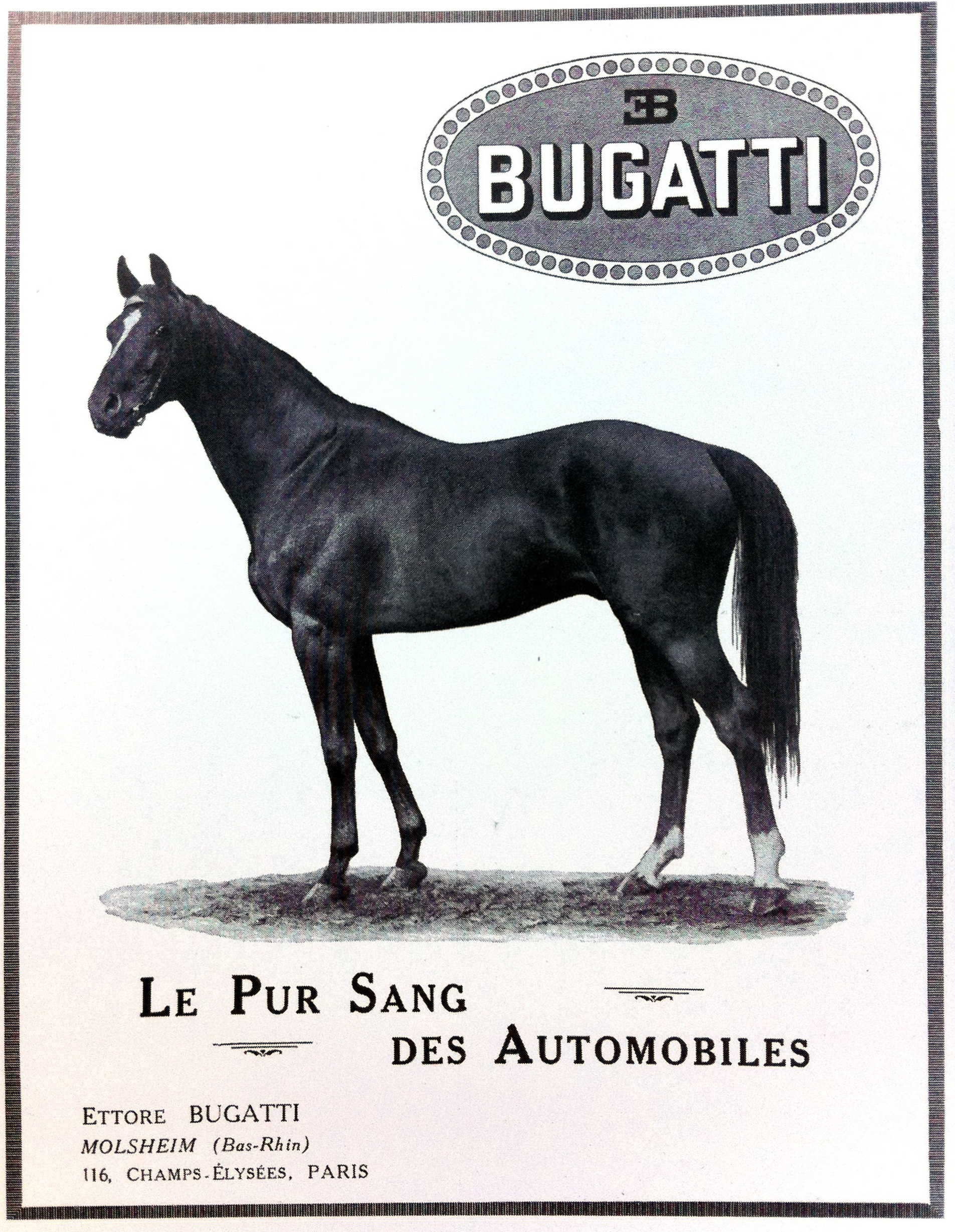 affiche publicitaire représentant un cheval pur sang noir