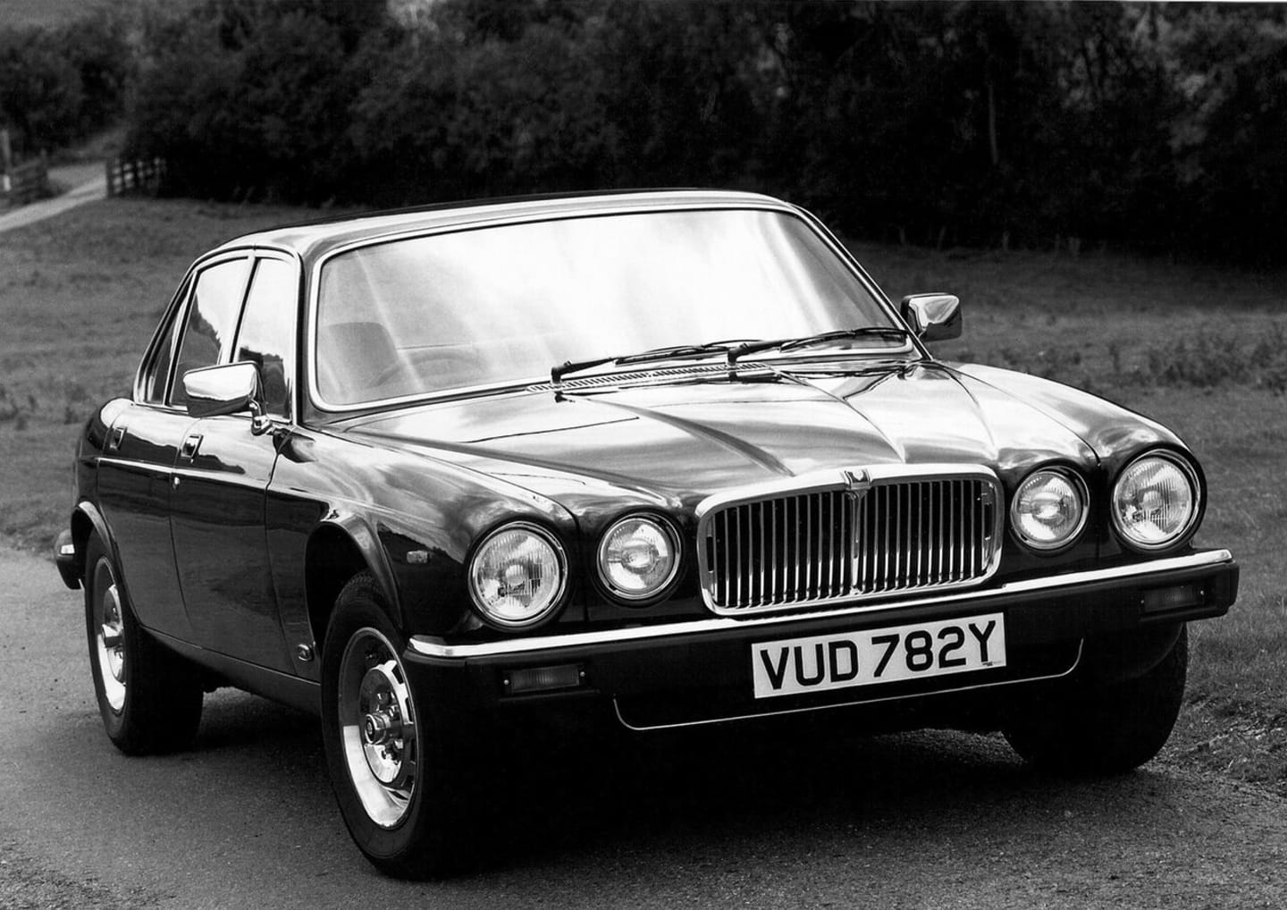 Jaguar Xj6 Series Iii Nayez Pas Peur 7063