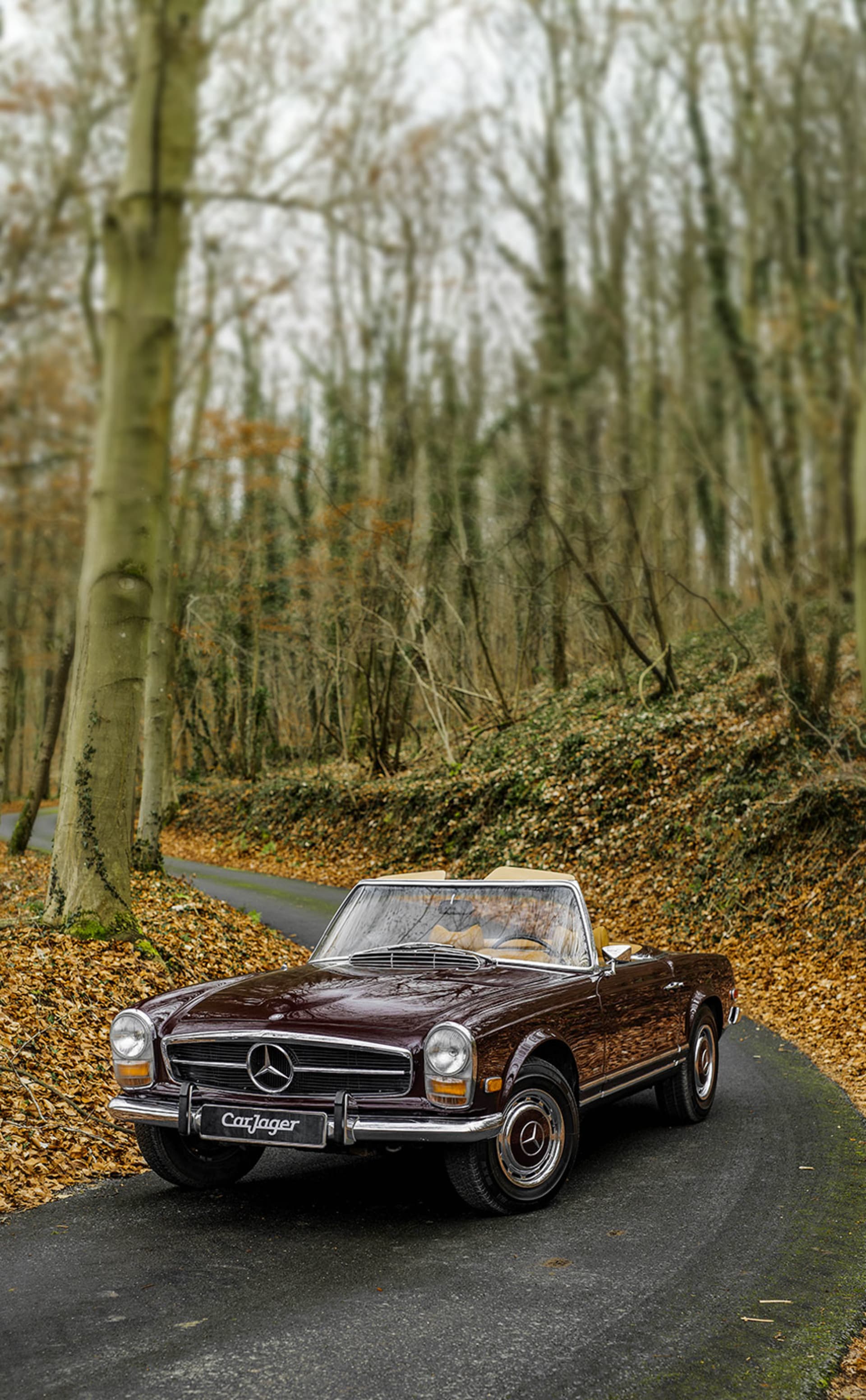 Sports car