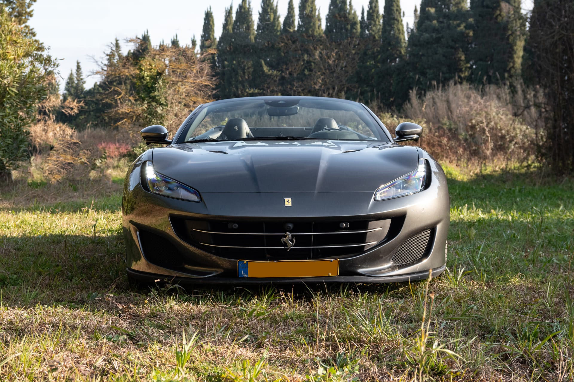 Ferrari Portofino