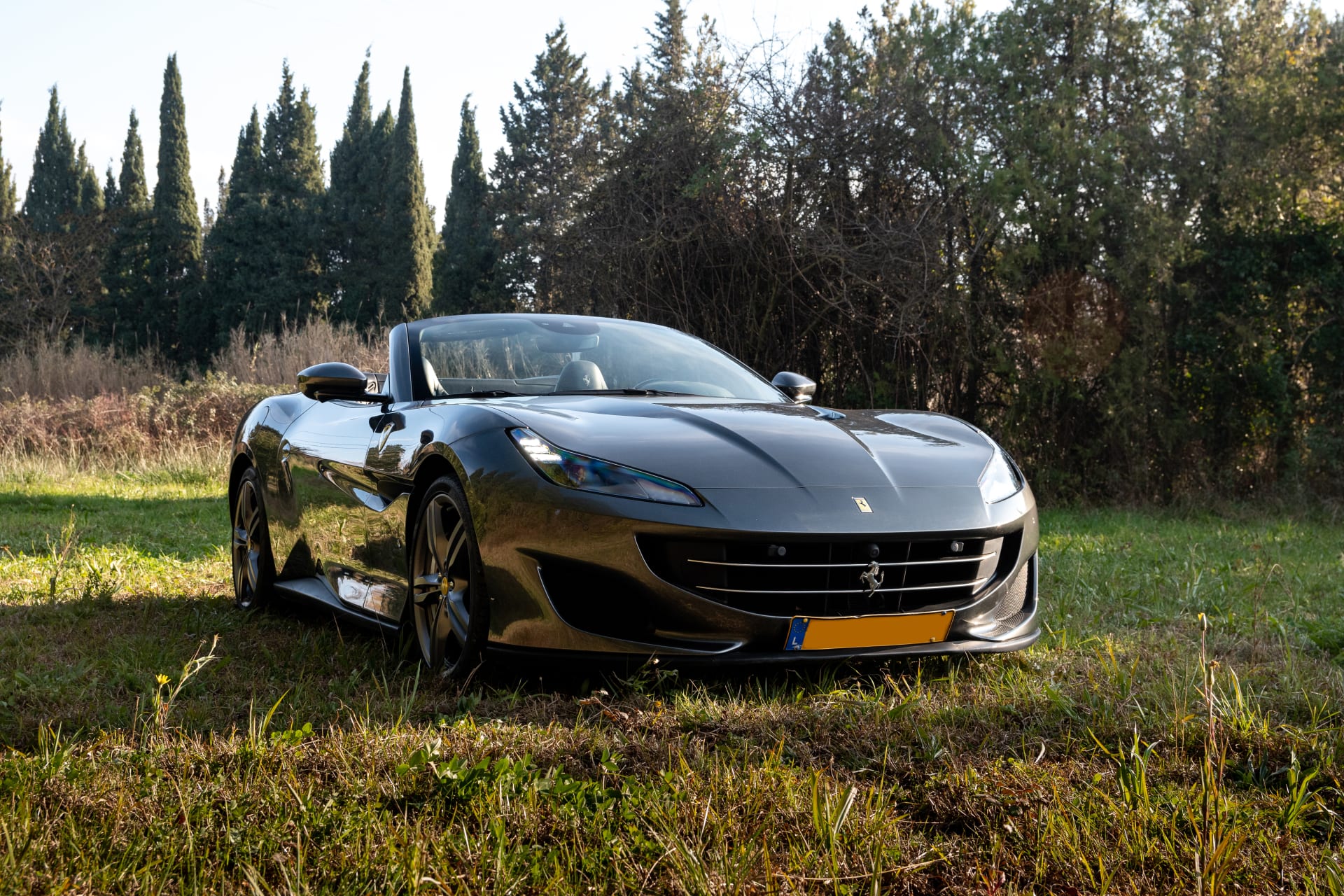 FERRARI Portofino 2020 usado mecánico (1)