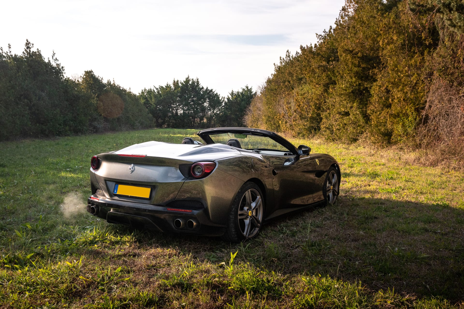 Ferrari Portofino