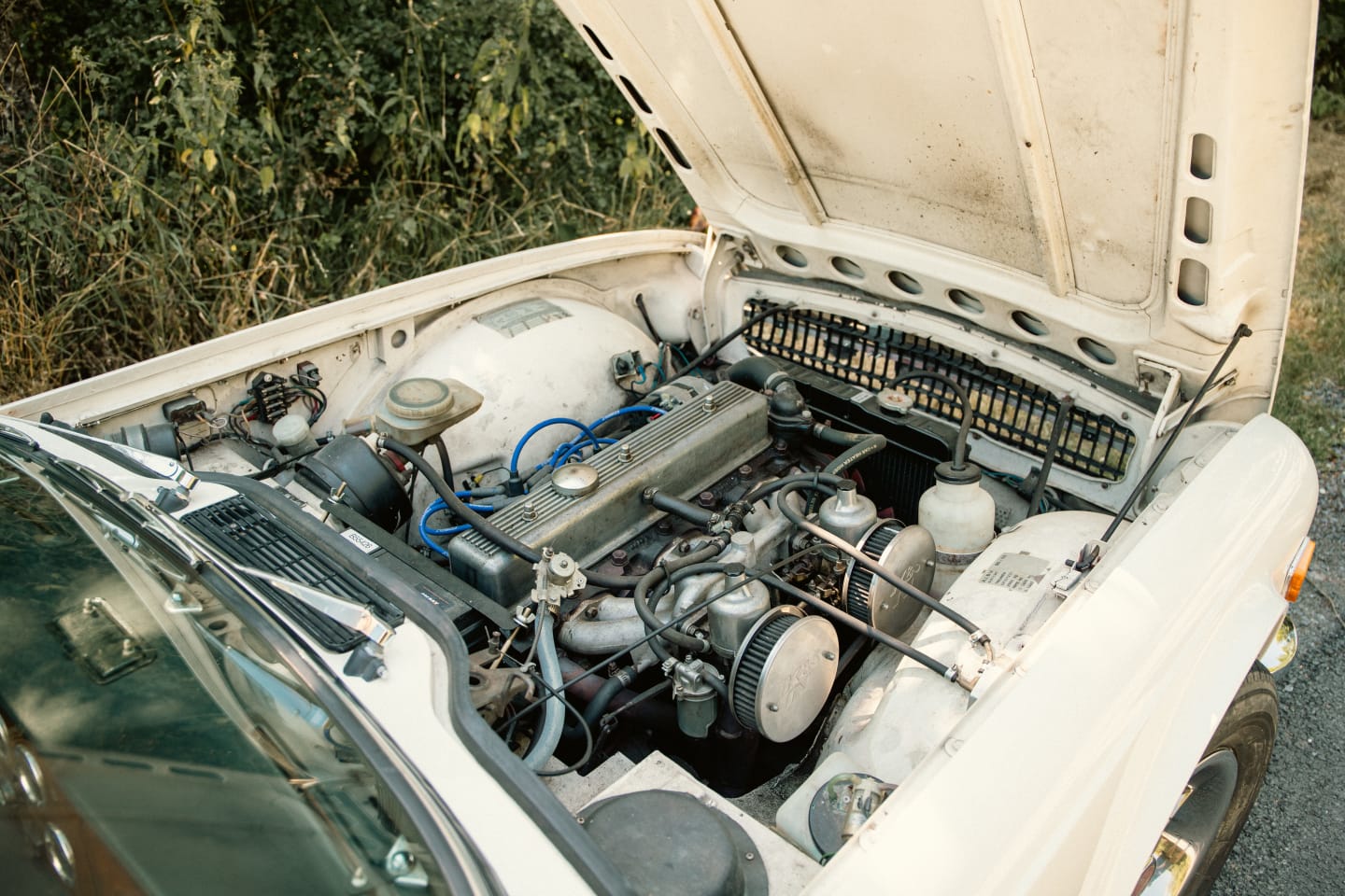 triumph tr6