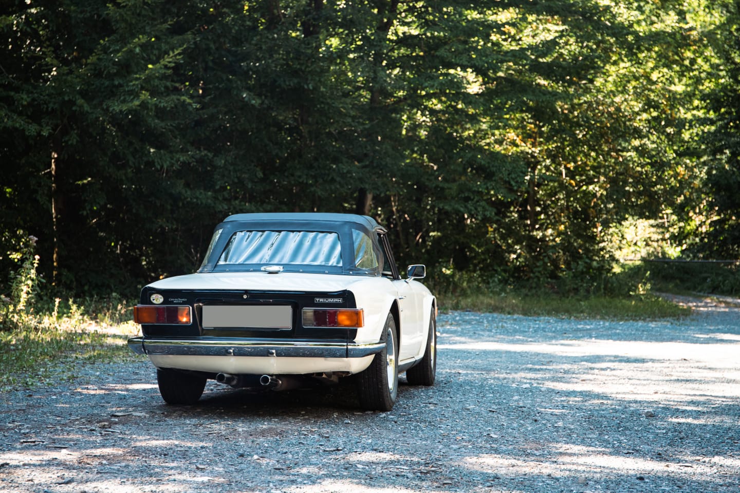 triumph tr6