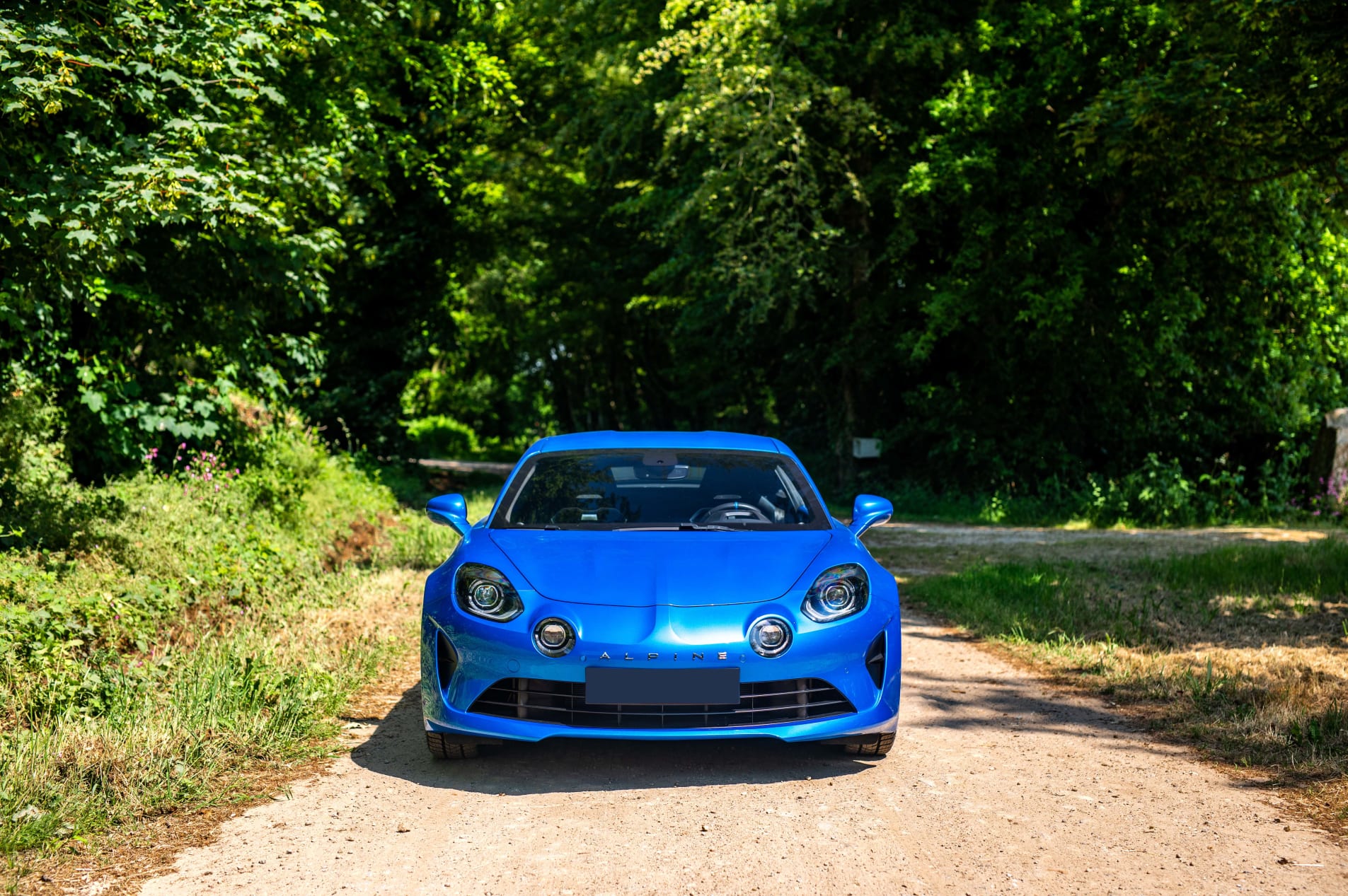 alpine a110 Pure