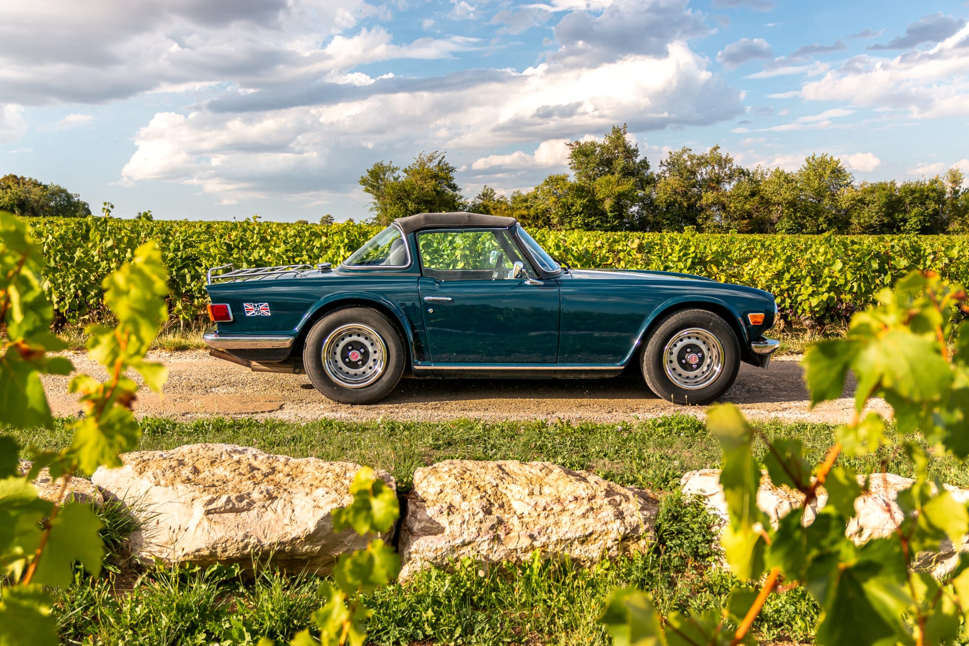 triumph tr6