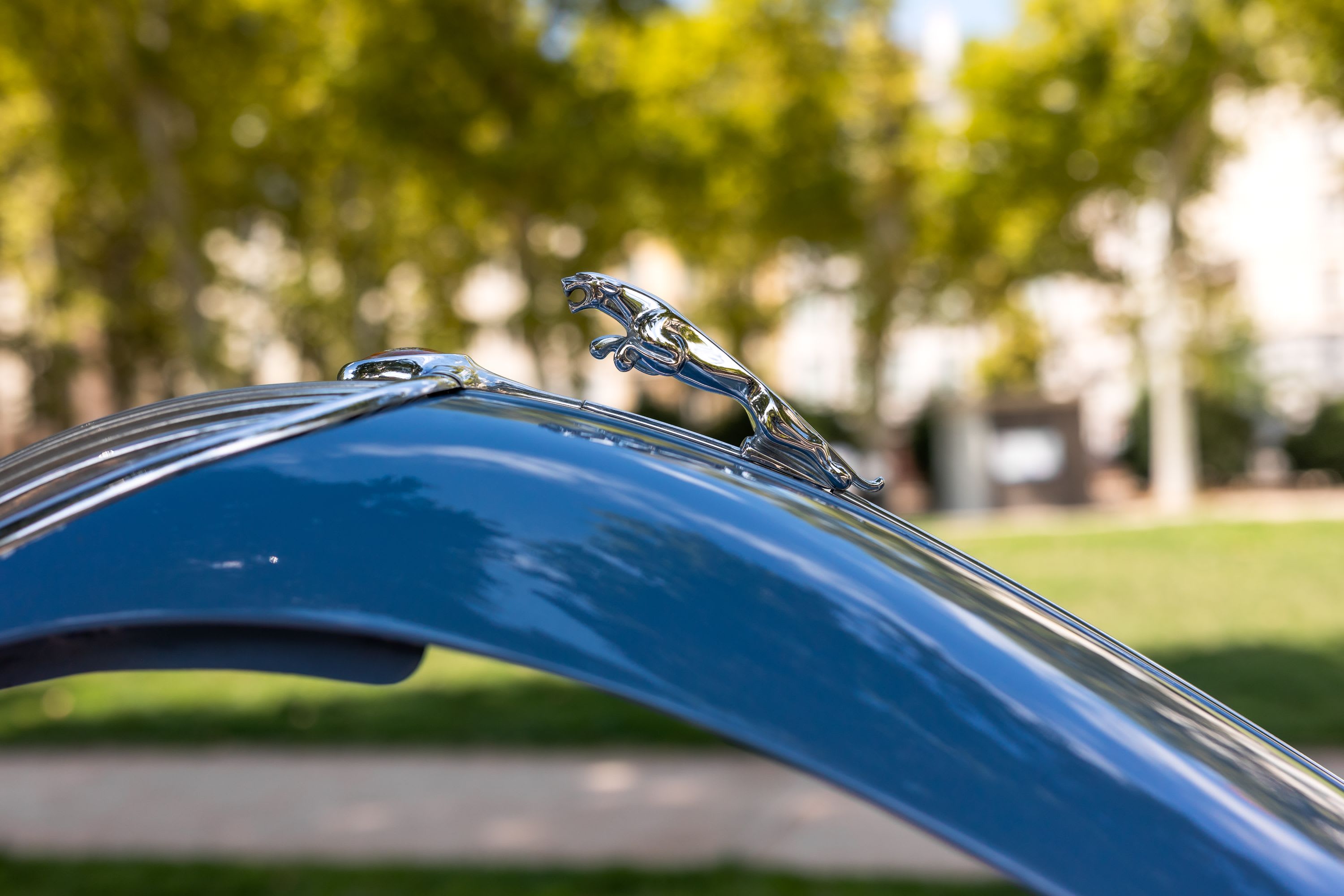 Jaguar Xk150