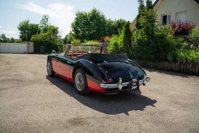 AUSTIN HEALEY 3000 Mark Iii Bj8 1965 occasion