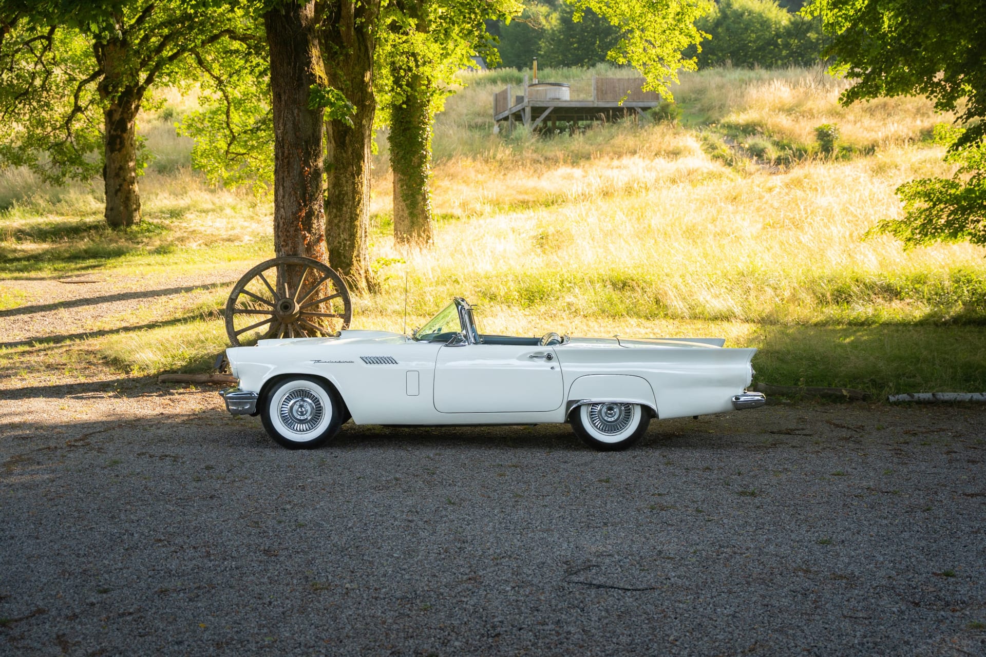 Ford Thunderbird  