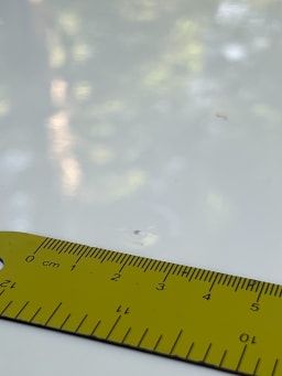 FORD Thunderbird   1957 used car