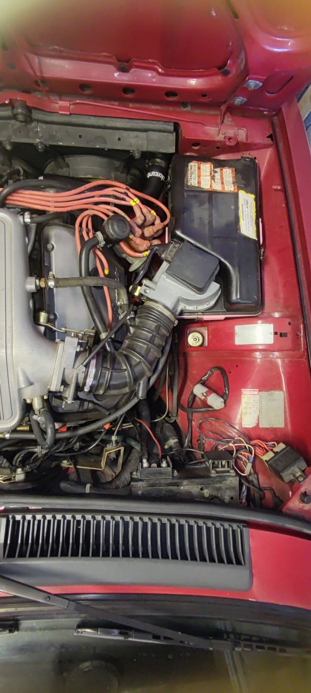 ALFA ROMEO Gtv 6 Tipo 116 1982 occasion