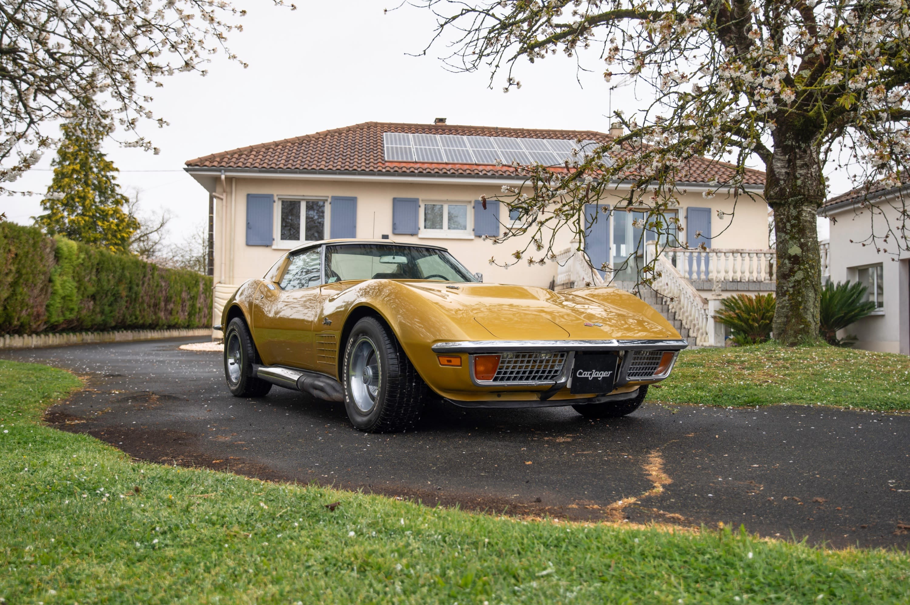 Chevrolet Corvette C3 T-top
