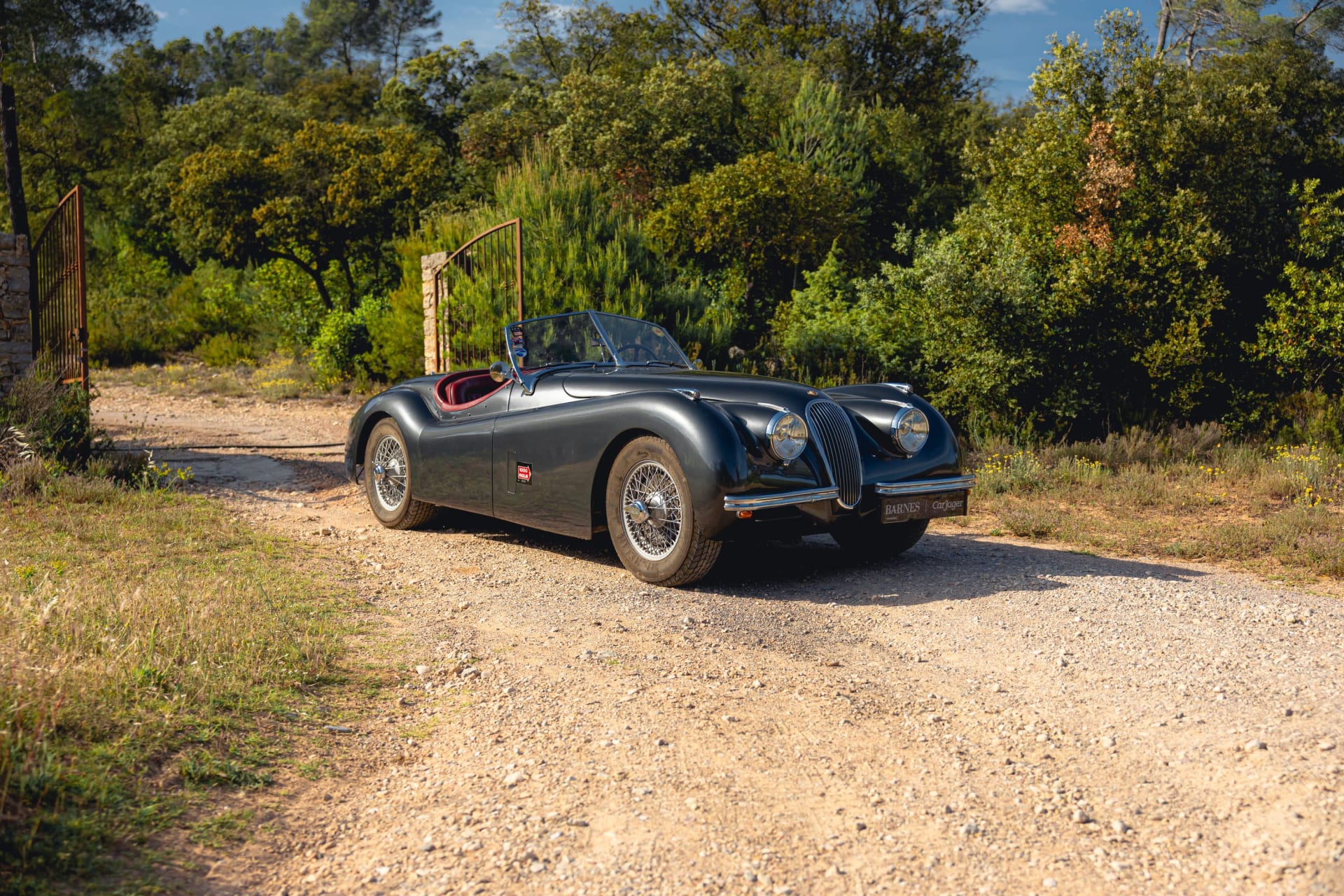 Jaguar Xk120 Ots