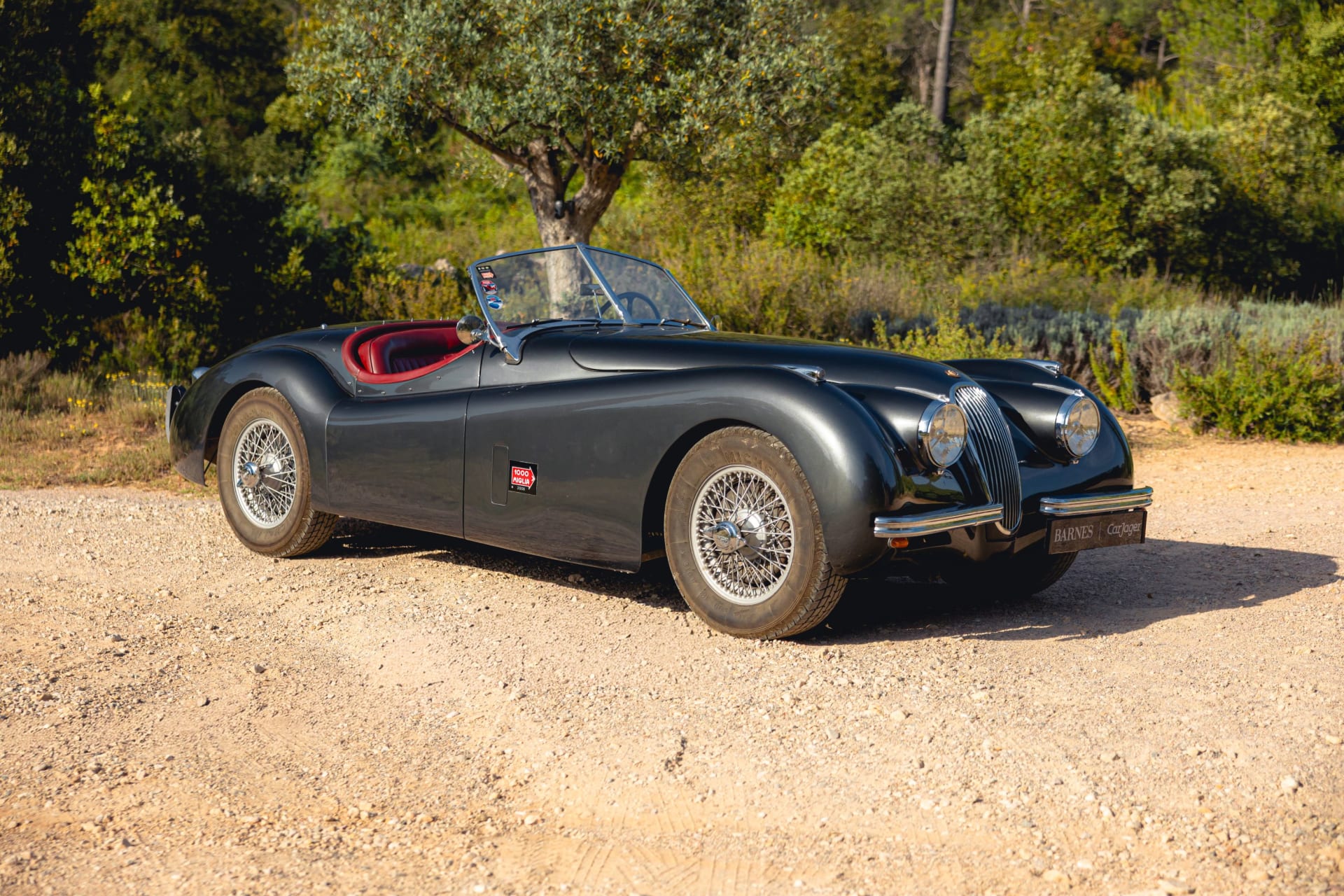 Jaguar Xk120 Ots