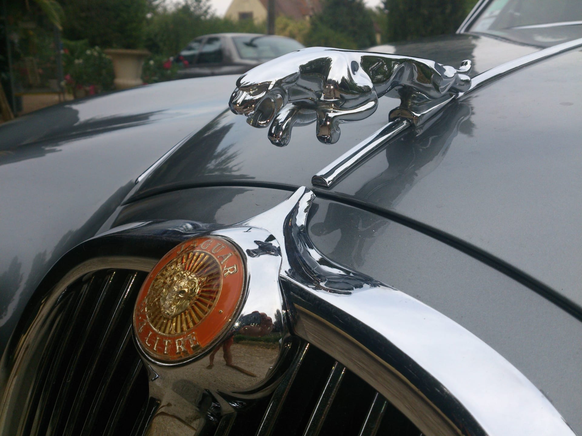 JAGUAR Type S 3.4 1966 occasion détails (1)