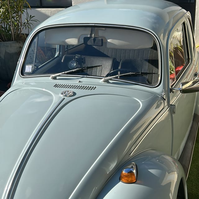 VOLKSWAGEN Coccinelle   1969 occasion