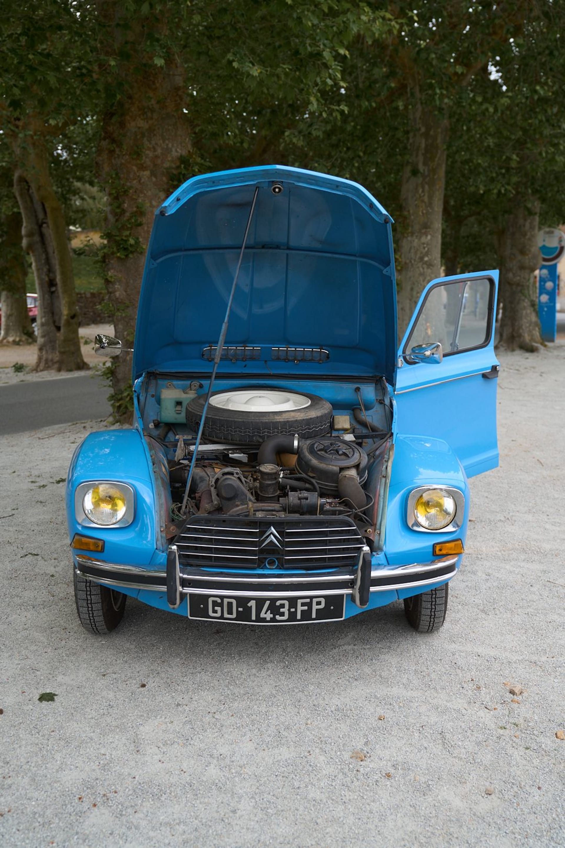 CITROEN Dyane 1978 usado mecánico (1)