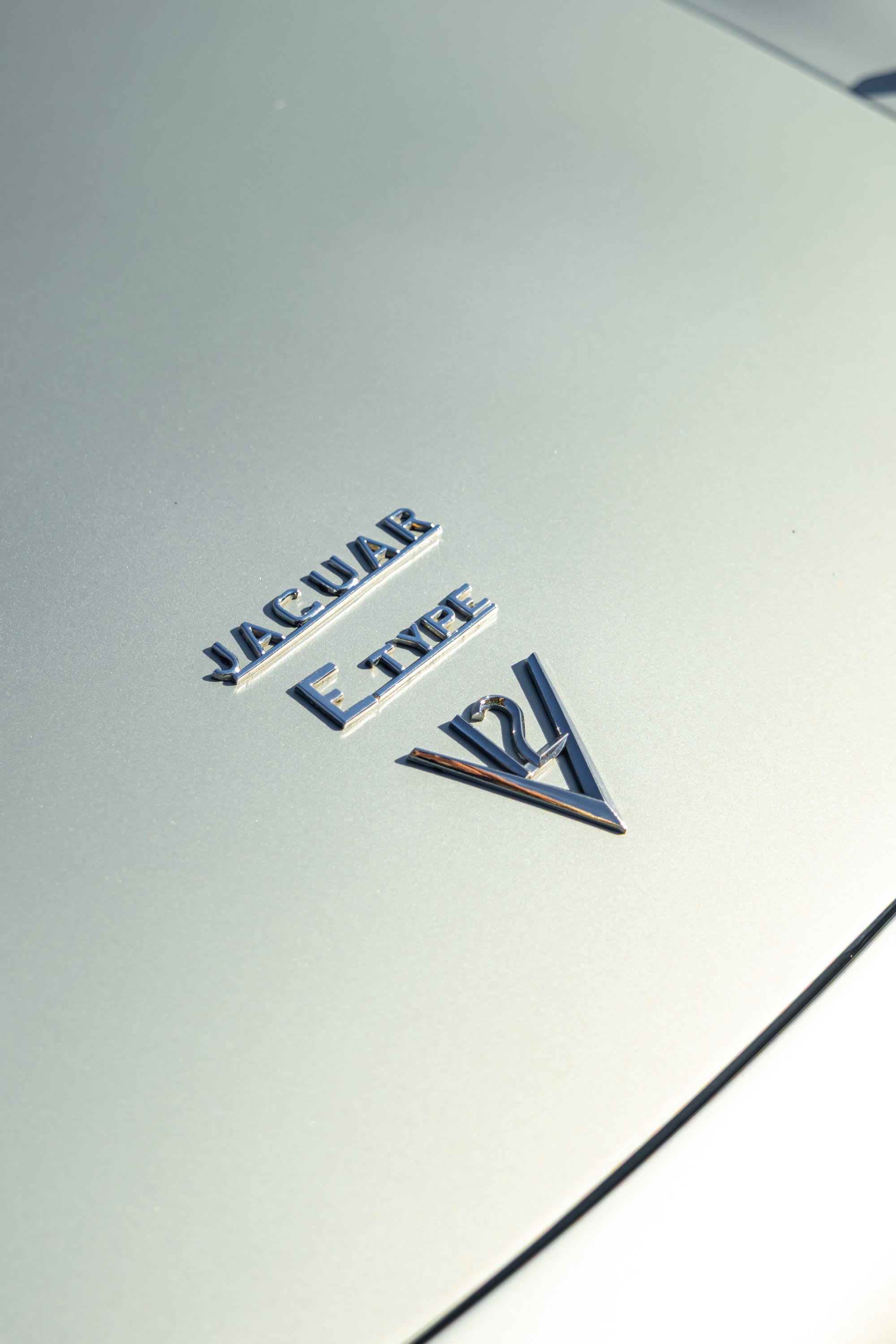 JAGUAR Type E Series 3 1974 occasion détails (1)