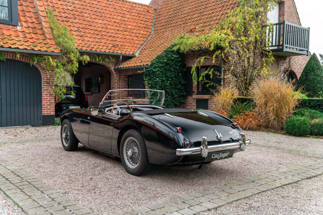 Austin-healey 100-4 Bn2 Kit Le Mans 
