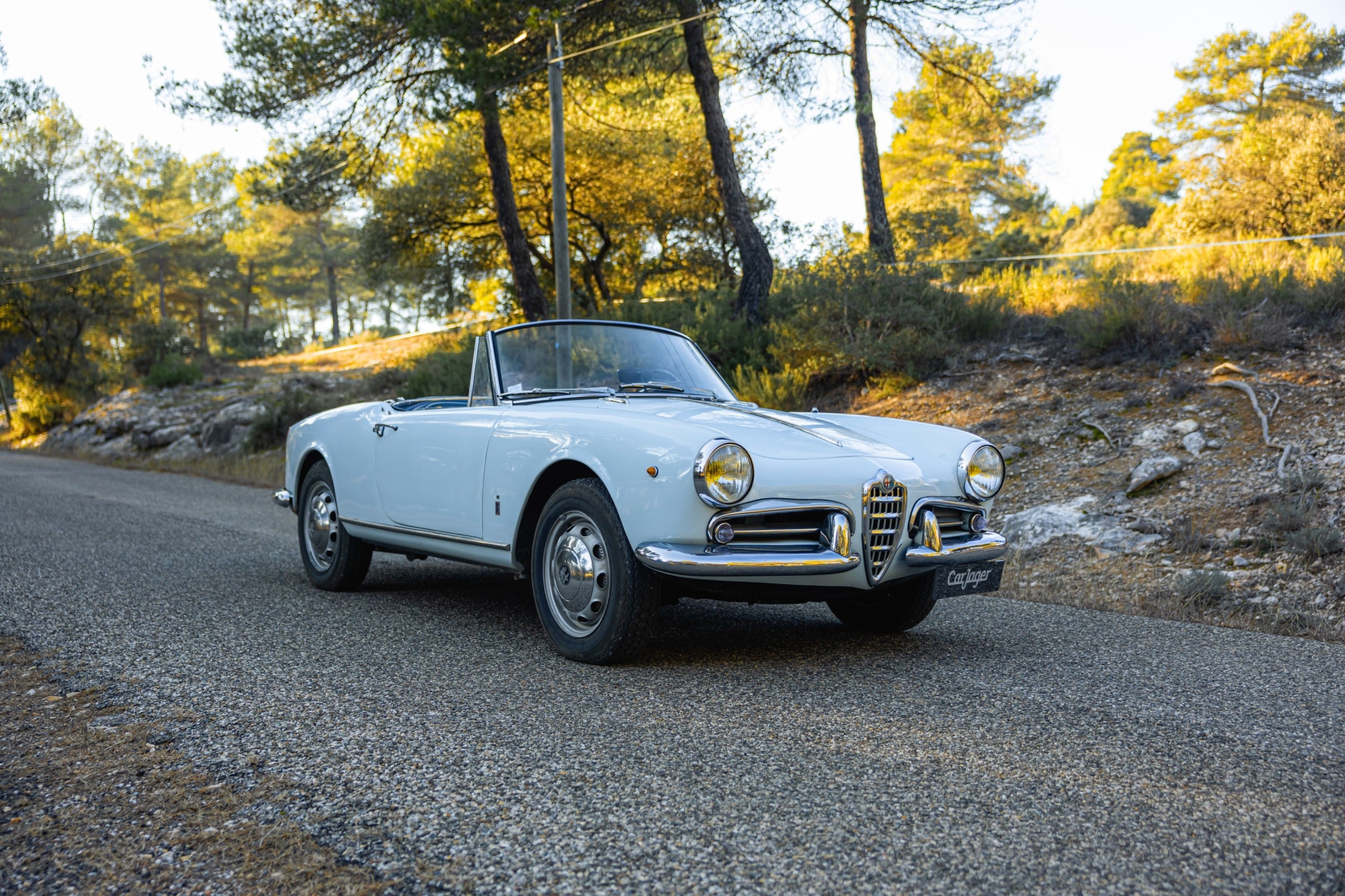 Photo ALFA ROMEO Giulietta spider veloce 1300 1960