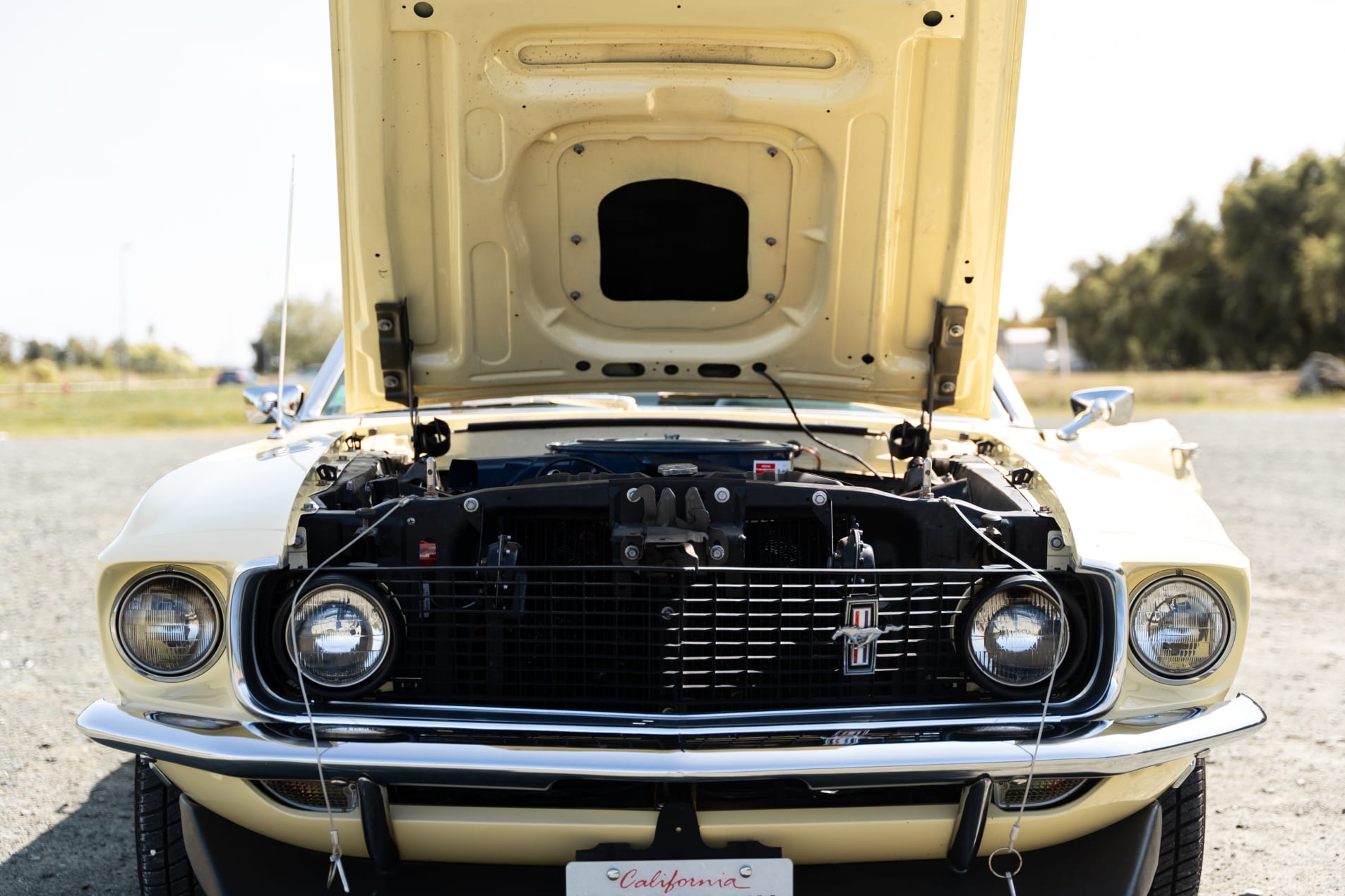 FORD Mustang 302ci Cabriolet 1969