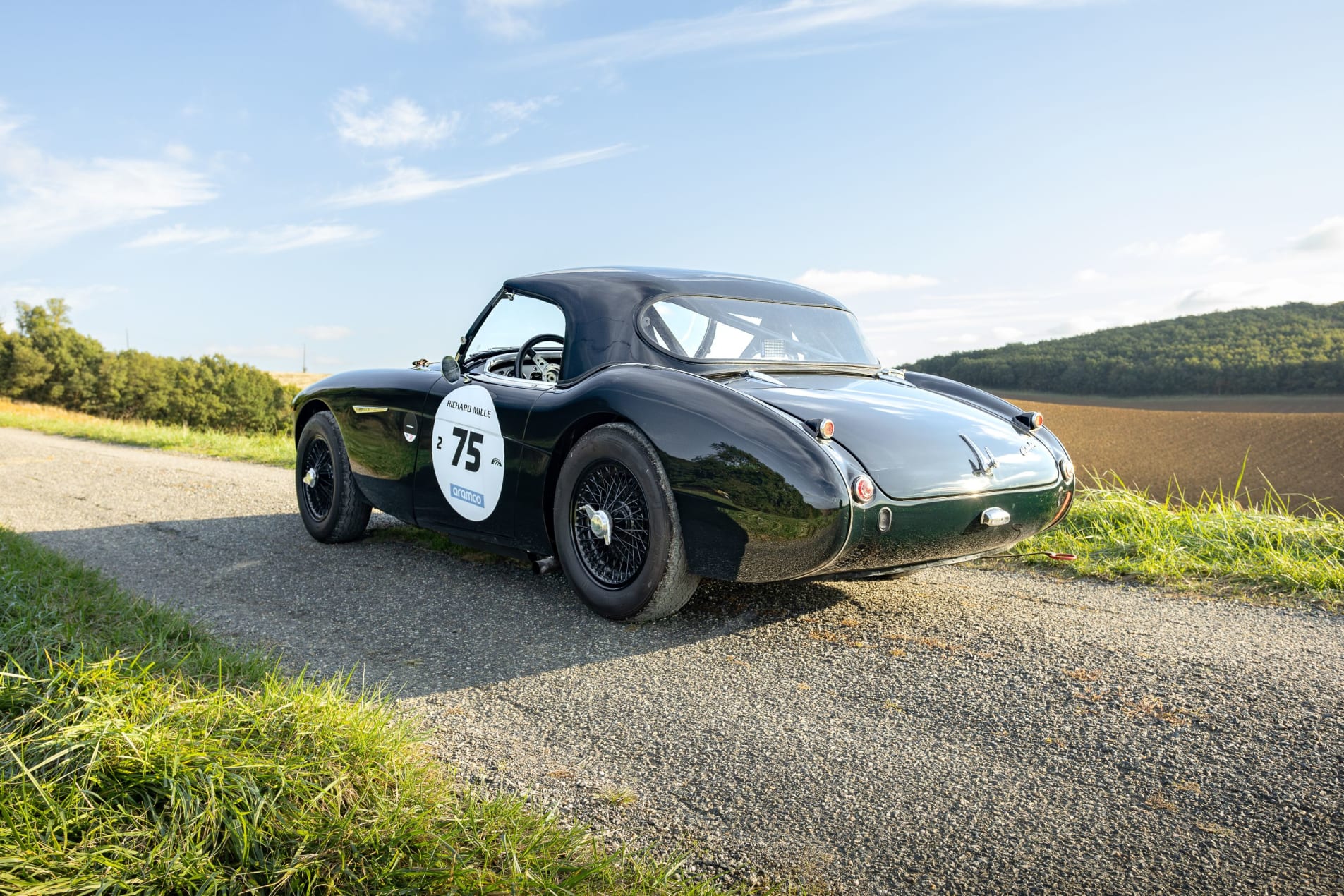 AUSTIN-HEALEY 100 BN2 FIA 1956