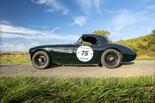 AUSTIN HEALEY 100 Bn2 Fia 1956 occasion
