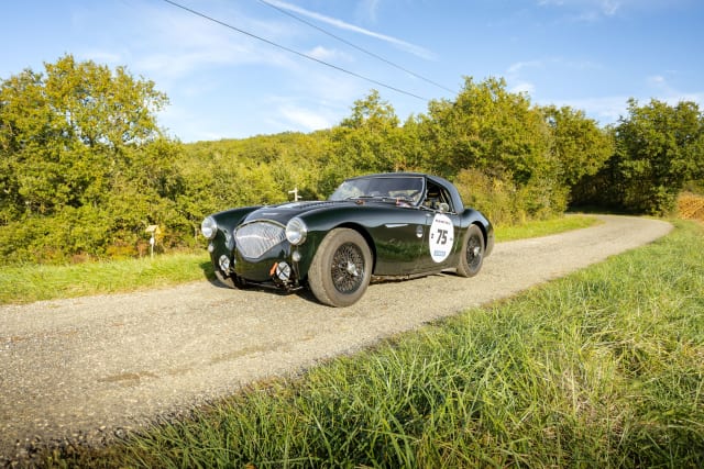 AUSTIN HEALEY 100 Bn2 Fia 1956 occasion