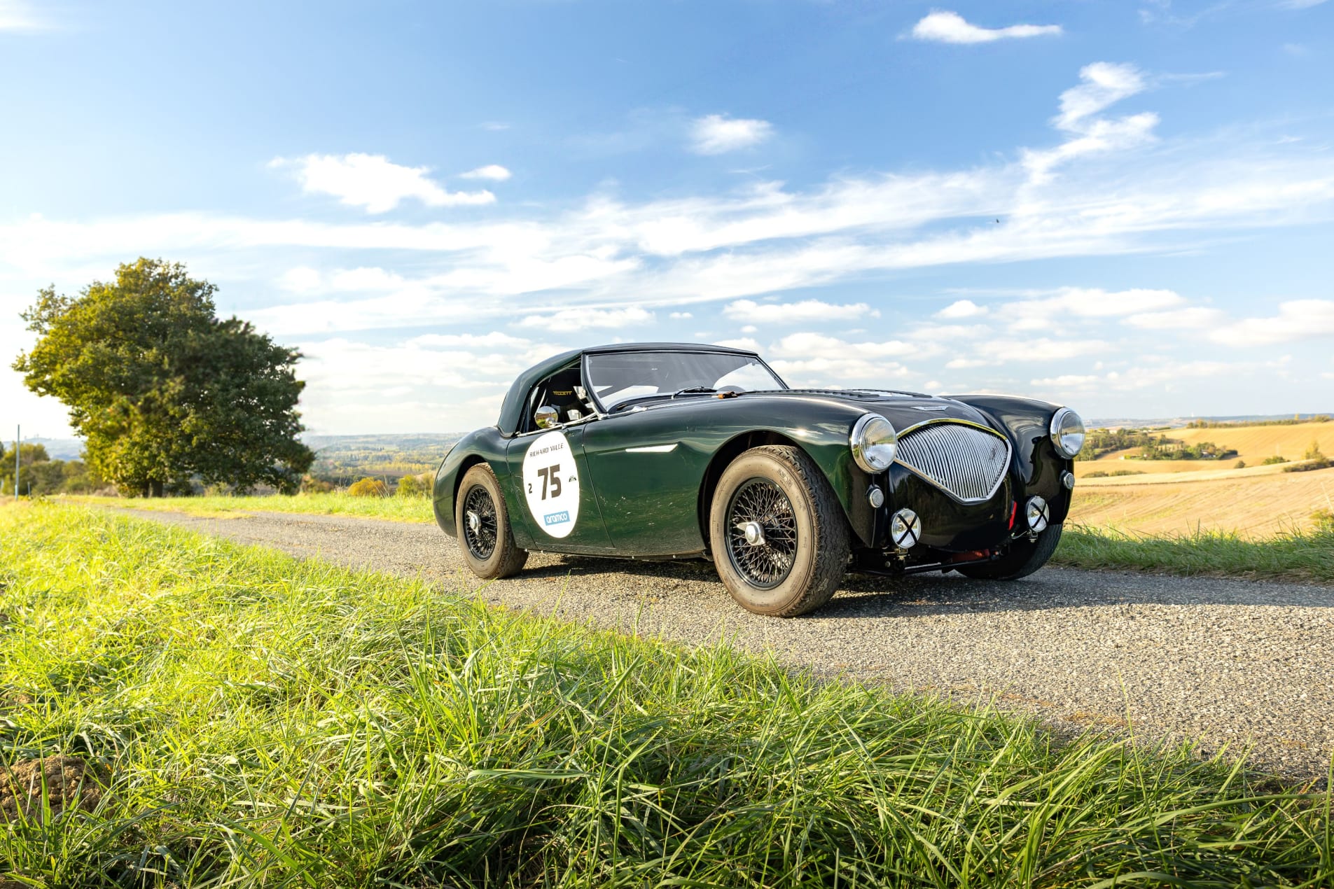 AUSTIN-HEALEY 100 BN2 FIA 1956