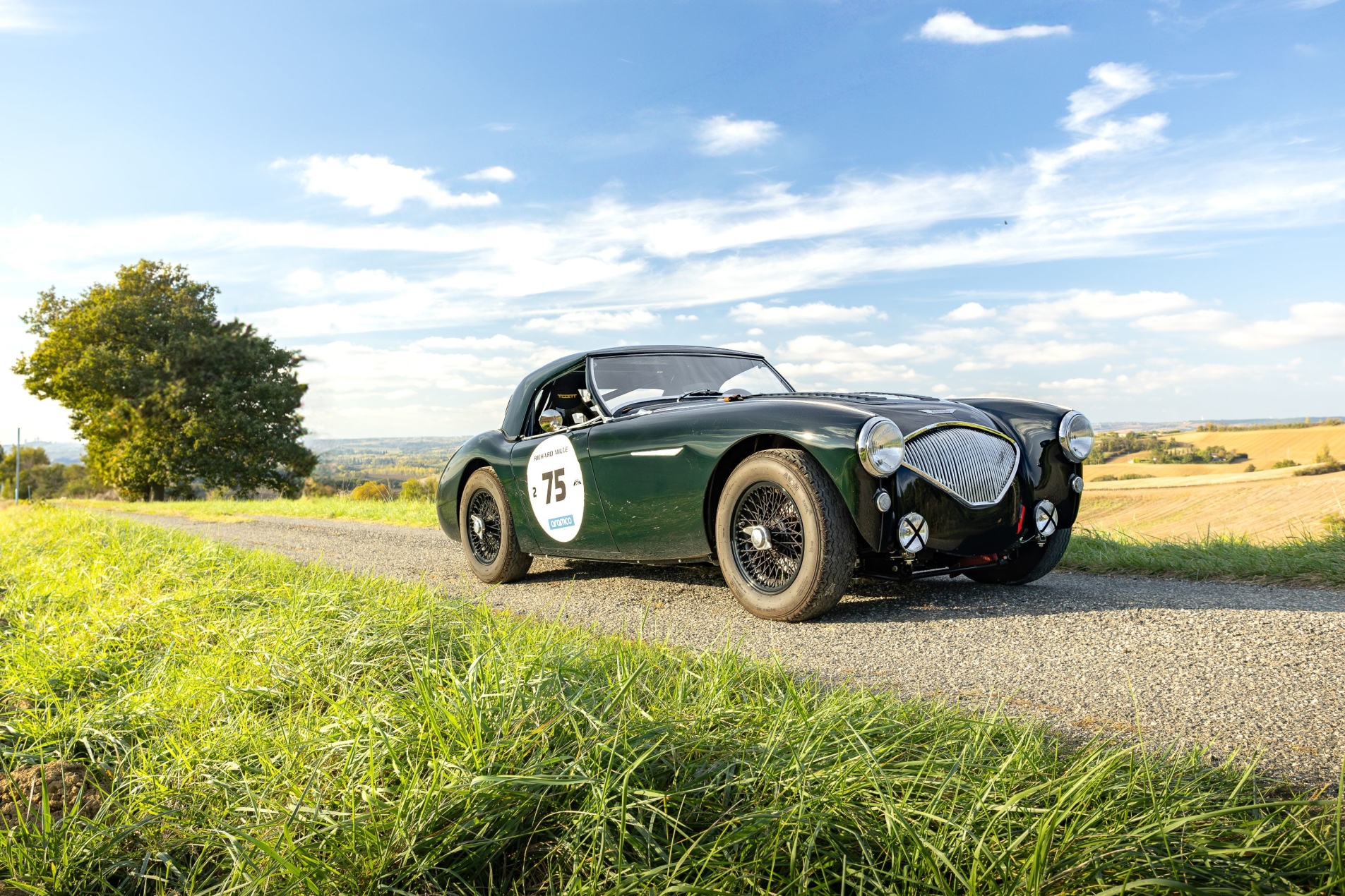 Photo AUSTIN-HEALEY 100 BN2 FIA 1956